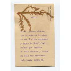 ANTARTIDA ARGENTINA 1902 TARJETA POSTAL ISLA DE AÑO NUEVO TIERRA DEL FUEGO CONFECCIONADA CON ALGAS, HUBO ALLI VARIAS EXPEDICIONES CIENTIFICAS FECHA TENTATIVA